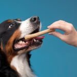 Collagen Sticks for Dogs for Healthy and Satisfying Chewing