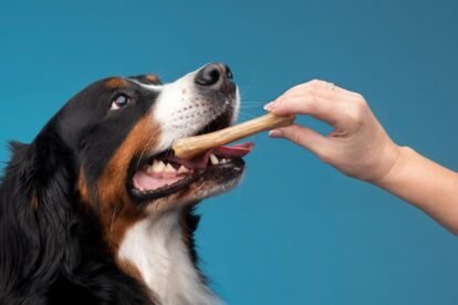 Collagen Sticks for Dogs for Healthy and Satisfying Chewing