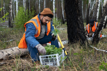 The Role of Land Condition Assessments in Environmental Compliance